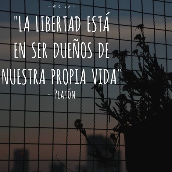 Imágenes Con Frases Cortas De Libertad Imágenes Y Frases Bonitas 5356