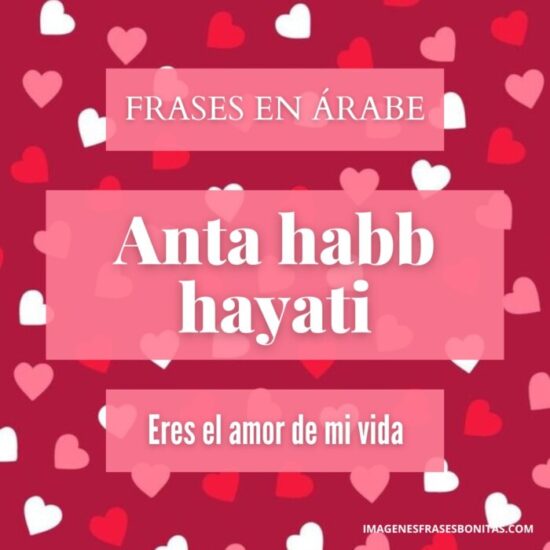 Frases de amor en árabe con imágenes y significado